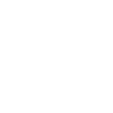 老逼网av